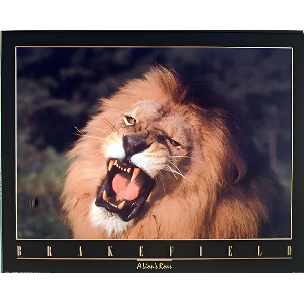 African Lion Roar Close-up Painting Wild Animal Wall Decor Art Print Poster (16x20)