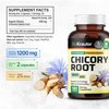 BIO KRAUTER Chicory Fiber Supplement - Chicory Root Powder 1200 mg - Inulin Capsules for Digestion Health Support - 100 Vegan Caps