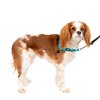 PetSafe® Deluxe Easy Walk® Dog Harness, No Pull Harness, Stop Pulling, Great For Walking and Training, Comfortable Padding, For Small Dogs- Ocean, Small