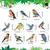 Sonwyoung 30 Pcs Bird Party Decorations Hawaiian Summer Rainforest Bird Hanging Swirl Foil Ceiling Decorations for Summer Luau Hawaiian Beach Pool Party Tiki Party Birthday Party Supplies