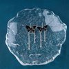Sttiafay Punk Black Butterfly Drop Earrings Acrylic Butterfly Tassel Chain Earrings Silver Long Butterfly Earrings Black Butterfly Stud Earrings Jewelry for Women and Girls