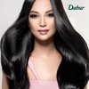 Dabur Amla Lite Hair Oil - Natural Moisturizing, Strengthening and Hair Oil Elixir for Healthy Scalp, Promotes Nourishing Hair Oil for Soft, Manageable, Long and Smooth Hair From Root to Tip - 200 ML