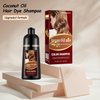 Blonde Brown Hair Dye 16.9 Fl Oz, Argan Oil Blonde Brown Hair Shampoo, 3 in 1 Hair Dye Shampoo, Easy To Use, Semi-Permanent Hair Color Shampoo (Blonde Brown)