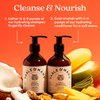 Fable and Mane Holiroots Hair Conditioner for Women, Moisturizing Conditioner for Damaged Hair, Hydrating Conditioner for Dry Hair with Turmeric - Genuine Fable and Mane Conditioner 8.5 FL oz