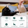 PEUTIER 2pcs Silicone Collar Cat Toys & 3pcs Cat Teasing Wands, Adjustable Cat Wand Toy Cat Feather Toys Catnip Chew Toys Silvervine Sticks Interactive Cat Teaser Toys for Indoor Cat Kitten Exercise