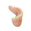 Instant Smile Professional Cosmetic Lower Teeth - New from Hand crafted detail, custom fit at home!