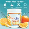 Pro:Play - 8 Stick Packs Citrus Blast - Electrolyte Hydration Drink with Magnesium + Zero Sugar - All Natural
