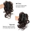 Bincout Meerore 2 Pack Claw Claw Clip,Hair Bun Ponytail Extension Hair Piece Curly Wavy Faux Ponytail Hairpieces Hair Extensions Scrunchie Buns Pony Tails for Women Girls Black