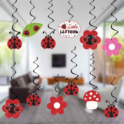 Ladybug Birthday Party Decorations Insect Theme Party Decor Hanging Swirls, Assembled and Ready to Use, Baby Shower Birthday Party Supplies 24pcs Party Streamers Flower Party Decor Banner