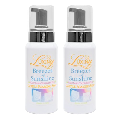 Castile soap, Liquid Foaming Hand Soap, Hand Wash for the Kitchen & Bathroom, Palm Oil Free, Vegan & Cruelty Free, Made in the USA, 8.45 oz., 2 Pack (Breezes & Sunshine)