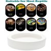 3 Pcs Reptile Food Bowl, Ceramic Water Feeder Bowl for Lizard Anoles Bearded Dragons Crested Gecko Hermit Crabs Triangular
