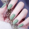 VENALISA 15ml Sage Green Gel Nail Polish, Mint Light Green Gel Polish Olive Pastel Green Color Soak Off UV LED Nail Gel Polish Nail Art Starter Manicure Salon DIY at Home, 0.53 OZ