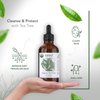 HBNO California Bottled Organic Tea Tree Oil for Skin 4 fl oz (120ml) - USDA Certified Organic Tea Tree Oil for Hair - Tea Tree Essential Oil for Aromatherapy, Tea Tree Oil for Face