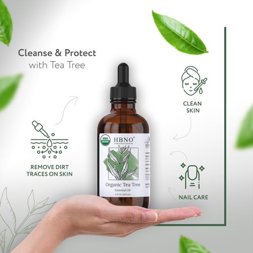 HBNO California Bottled Organic Tea Tree Oil for Skin 4 fl oz (120ml) - USDA Certified Organic Tea Tree Oil for Hair - Tea Tree Essential Oil for Aromatherapy, Tea Tree Oil for Face