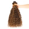 ALHER Water Wave Ombre 3 Bundles 20 22 24 Inch Honey Blonde Highlight Wet and Wavy Bundles Human Hair P4/27 Piano Brown Color Bundles for Black Women Soft Thick 10A 100% Brazilian Virgin Remy Hair