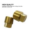 1/2" NPT Solid Brass Drain Plugs commonly Used in Boat Hulls, 2 Pack Solid Brass Boat Hull Spare Garboard Drain Plug for Bayliner Four Winns Glastron Larson Sea Ray Starcraft and Many Other Models