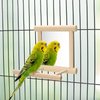 Wontee Bird Mirror with Perch Bird Toys for Parrots Budgies Parakeets Cockatiels Lovebirds Finches Canaries