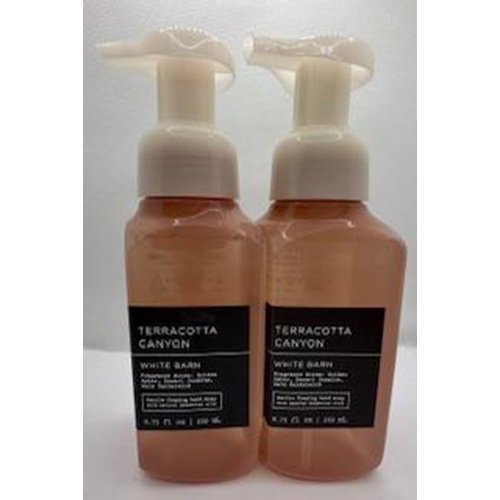 Generic Set of 2 Terracotta Canyon Gentle Foaming Hand Soap 8.75 Ounce, Peach