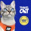 Travel Cat & Stray Cat Harness and Leash Set - Adjustable Fit Mesh Cat Harness and Reflective Strap - Comfort Escape Proof Harness for Cats, Kitten for Outdoor Walking, Hiking (Medium, Grey)
