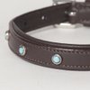 XX-Small Genuine Leather Padded Decorated Arizona Dog Collar; Fits Neck Size 8" - 10"