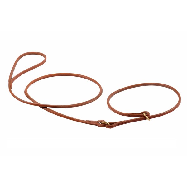 Alvalley Flat Integrated Slip Lead with Dog Collar - Durable Leather Dog Leash and Collar Set - Comfortable and Easy to Use - Great for Training, Walking, & Showing (Tan, 3 ft Lead with 20" Collar)