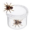 Odowalker Magnifying Bugs Viewer Critter Cage Bug Boxes 12 Pack Bug Jars Nature Exploration Insect Magnifier Backyard Explorer Sample Collection Entomology Class Early Education