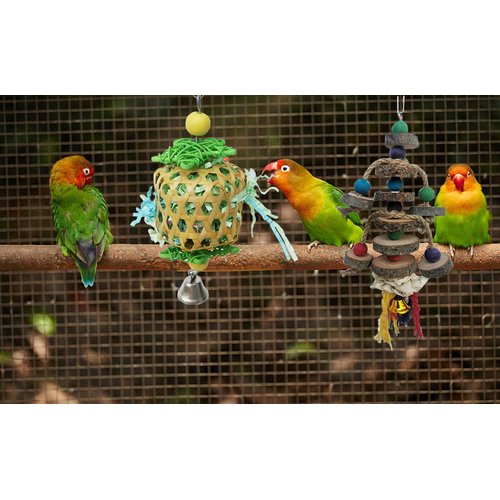 TANOMA Bird Toys for Conures Parakeet, Birds Cage Accessories, Bird Shredding Foraging Toys for Cage