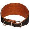 Real Leather Extra Wide Padded Tapered Dog Collar Glossy Black Greyhound Saluki Deerhound Lurcher Whippet Dachshund (11"-13" Neck; 2" Wide, Toffee)
