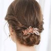 Bohend Rhinestone Hair Comb Flower Crystal Hairpieces Wedding Hair Accessories Jewelry for Women and Girls (Champagne)