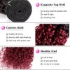 1B99J Bundles Ombre Kinky Curly Human Hair Bundles 8A Grade Brazilian Unprocessed Virgin Hair 3 Bundles 20 22 24 Inch Two Tone Black Wine Red Bundles Human Hair Extensions