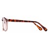 IB The Actor BIFOCAL Unisex Round Reading Glasses, Readers for Men and Women, Dark Brown and Tortoise +2.50