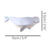 Novelty White Beluga Hair Clips,Cellulose Acetate Hair Clips,Big Claw Clips for Girl,Hair Accessories