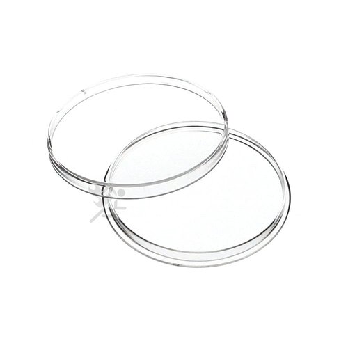 10 Air-Tite Direct Fit "H40" Coin Holders for SILVER EAGLES