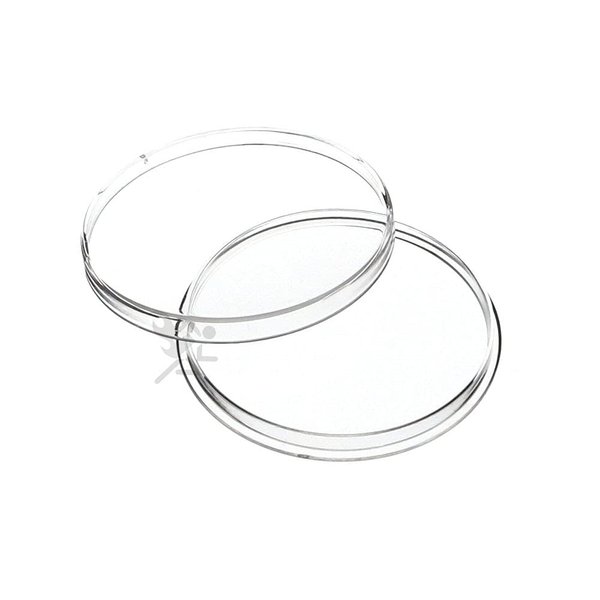 10 Air-Tite Direct Fit "H40" Coin Holders for SILVER EAGLES