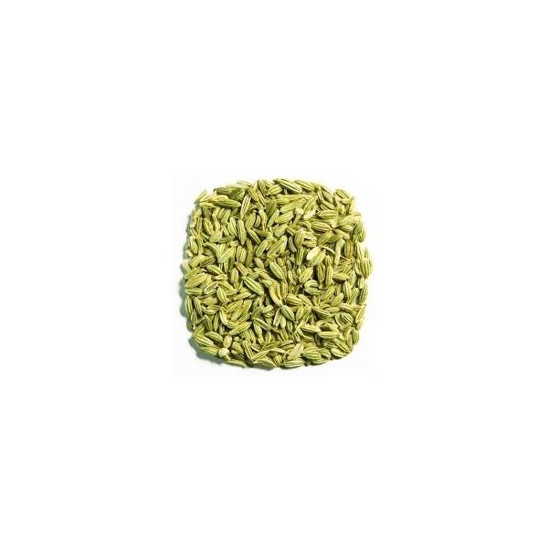 Buy Wellness Organic Fennel Seeds Whole Flavorful Sweet Quality Fennel seed Bulk Bag 1 lb