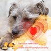 Lenwen 2 Pcs Heartbeat Replacement Soother Heartbeat Simulator, Heartbeat Puppy Toy Heartbeat Dog Toy for Puppy Puppy Sleep Aid Replacement Pulsing Heartbeat for Pets Cats Dog Anxiety Relief