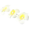 Leadigol New Seaside Vacation Style Flower Hair Clip Hairpin For Female Elegant and Casual Summer Beach Hair Claw Hair