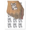 Sleeping Pocket Kitten Cat Temporary Tattoo Water Resistant Fake Body Art Set Collection - 15 2" Tattoos (1 Sheet)