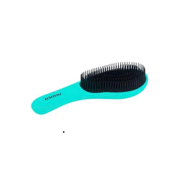 Swissco Soft Touch Detangling Hair Brush for Natural, Curly, Wet or Dry Hair (Teal)