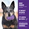 KONG Senior - Purple Rubber Dog Toy with Gentle, Natural Rubber - Durable Dog Toy for Older Dogs - Use Treats with Stuffable Chew Toy - Treat Toy for Chewing & Fetching (2 Pack) (Large)