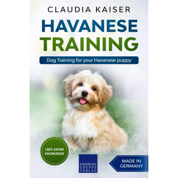 Havanese Training: Dog Training for your Havanese puppy