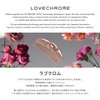 LOVE CHROME PROFESSIONAL K24GP SUS STANDARD CUT COMB GOLD/Japanese artisan hair comb