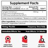 Nootropics Depot Tongkat Ali Extract Capsules | 100mg | 60 Count | 10% Eurycomanone by HPTLC | Eurycoma longifolia Root Extract