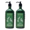 Generic Bath and Body Work Aromatherapy Stress Relief EUCALYPTUS + SPEARMINT 2 Pack Moisturizing Body Lotion Set - 6.5 fl oz / 192 mL each, Green