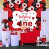 Sursurprise Ladybug First Birthday Decorations, Our Little Ladybug Is Turning One Balloon Garland Arch Kit with Backdrop for Girls Ladybug 1st Birthday Party Supplies