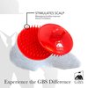 G.B.S Scalp Massage Dandruff Hair Brush, Pack of 2