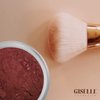 Giselle Cosmetics Red Hawaii Matte Blush Makeup Mineral Makeup Pure Talc Free Minerals Matte Loose Face Makeup Powder Blush for Cheeks 5 Gram Travel Size Blush