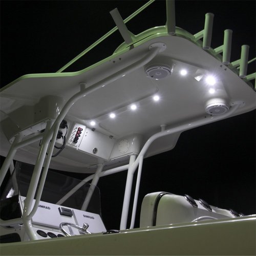 Lumitec 101099 Capri2 LED Flood Light, Flush Mount, White Housing, White Dimming, Blue Dimming, 4.91x 1.75-Inch