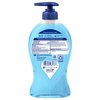 Softsoap Antibacterial Liquid Hand Soap Pump, Clean & Protect, Cool Splash - 11.25 Fl. Oz