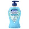 Softsoap Antibacterial Liquid Hand Soap Pump, Clean & Protect, Cool Splash - 11.25 Fl. Oz